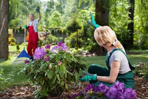 Gardening team starting work in a residential garden