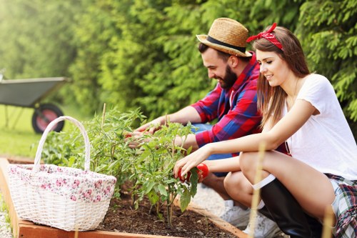 Gardener working on a Sydenham front garden tidy-up