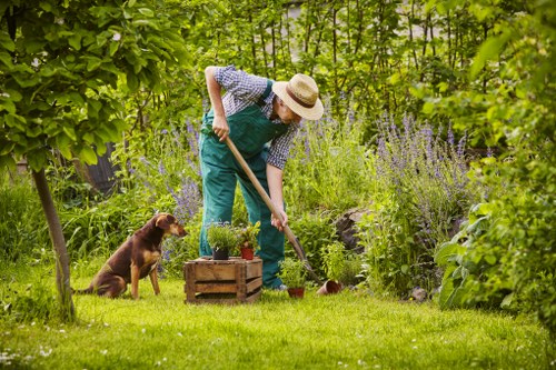 Professional lawn mowing service in Sydenham