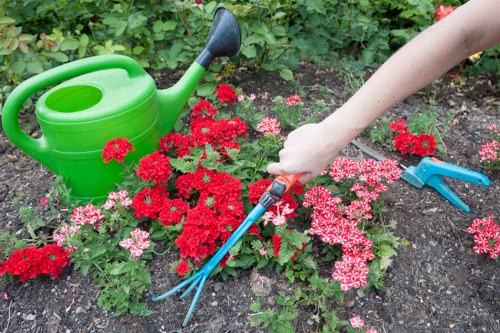 Eco-friendly garden waste disposal in Sydenham