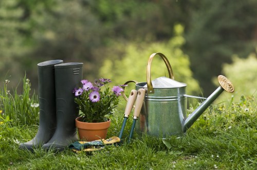 Professional landscaper designing a garden in Sydenham