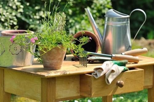 Local Sydenham nursery with a variety of plants and gardening supplies