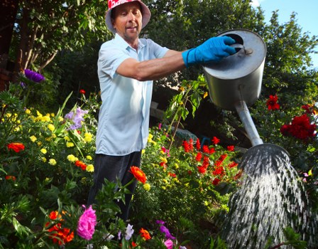 Tree removal process by experts in Sydenham