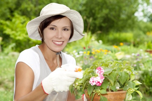Eco-friendly lawn care practices in Sydenham