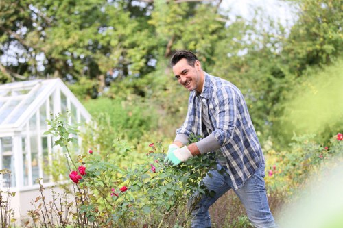 Diverse plant selection for a vibrant Sydenham garden