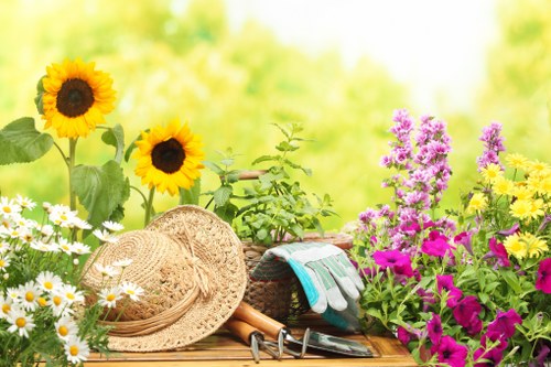 Garden clearance tools and equipment in use