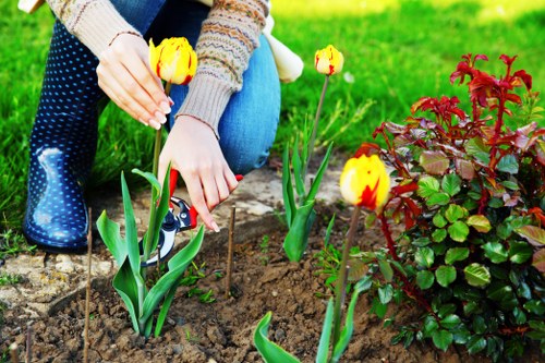 Lush green lawn maintained by Sydenham landscaping services