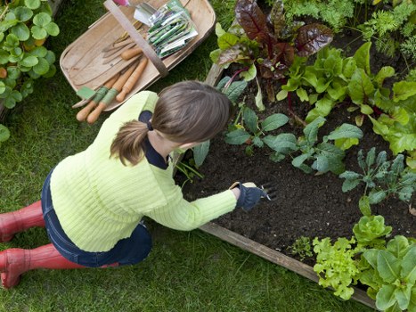 Deck maintenance and repair services in Sydenham