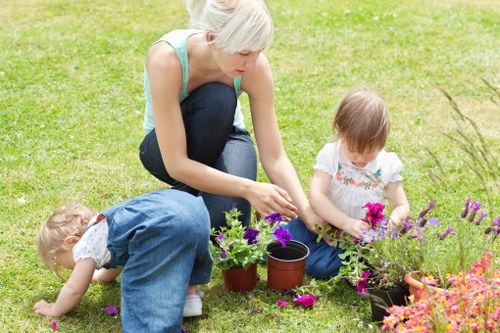 Sustainable landscaping practices with native plants in Sydenham