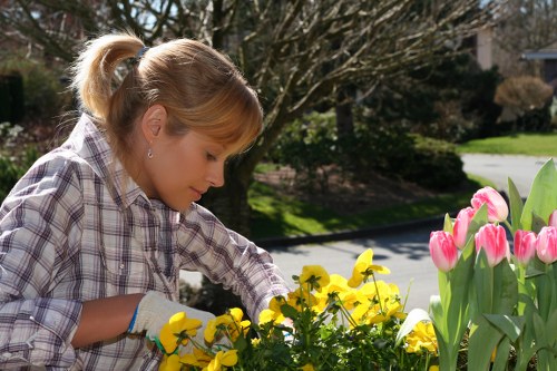 Operative using hedge trimmer with protective clothing